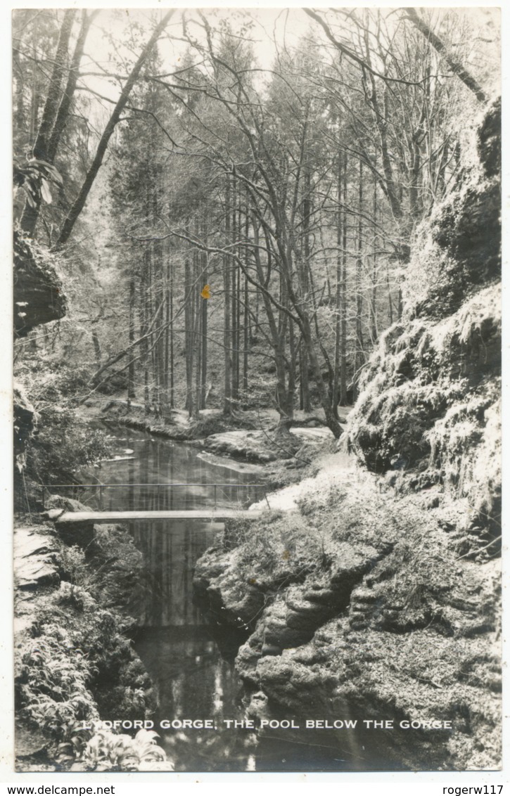 Lydford Gorge, The Pool Below The Gorge - Lynmouth & Lynton