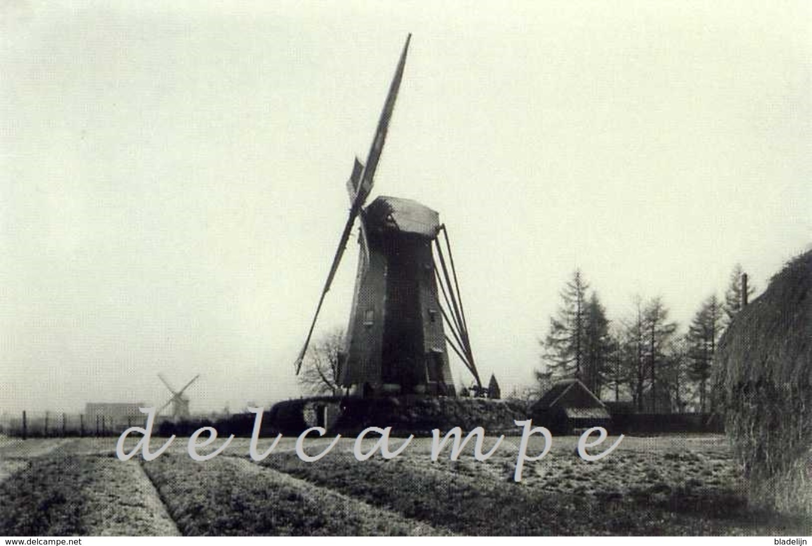 TURNHOUT (Antwerpen) - Molen/moulin - Zeldzame Oude Opname Van De Verdwenen Molen Jespers Ca. 1900. TOP! - Turnhout