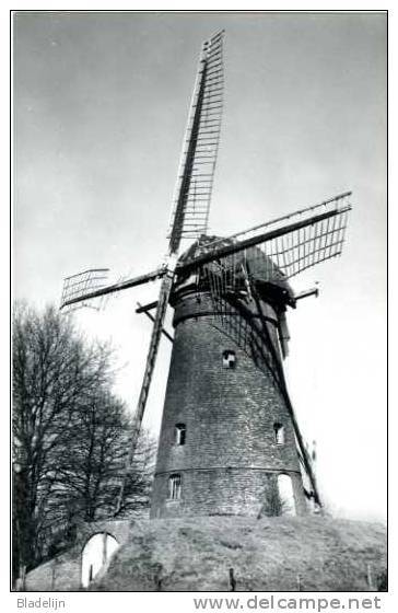 PULDERBOS ~ Zandhoven (Antw.) - Molen/moulin - Historische Opname Van De Stenen Molen In 1983 Voor De Restauratie. TOP! - Zandhoven