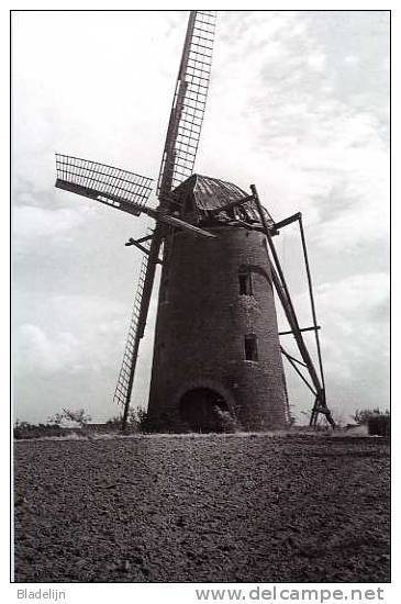MELDERT Bij Lummen (Limburg) - Molen/moulin - De Verdwenen Stenen Molen Omstreeks 1950 - Lummen