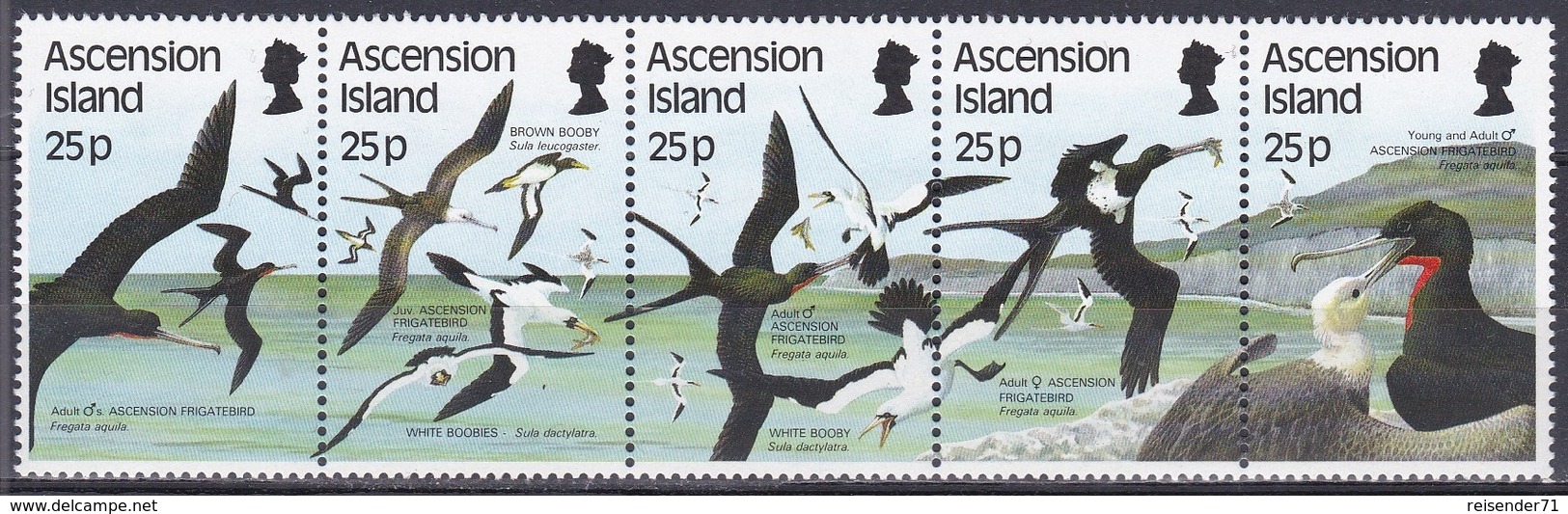 Ascension 1987 Tiere Fauna Animals Vögel Birds Oiseaux Aves Uccelli Seevögel Seabirds Tölpel, Mi. 443-7 ** - Ascension