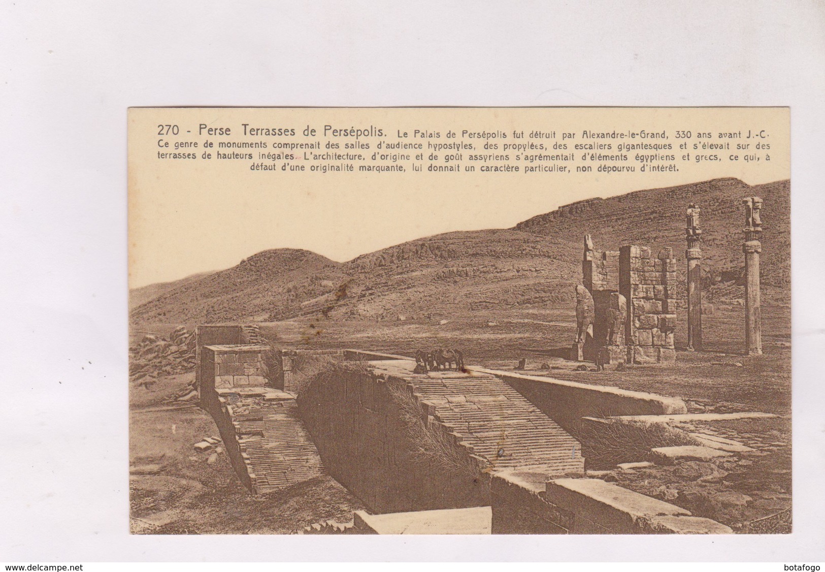 CPA PERSE, TERRASSES DE PERSEPOLIS - Iran