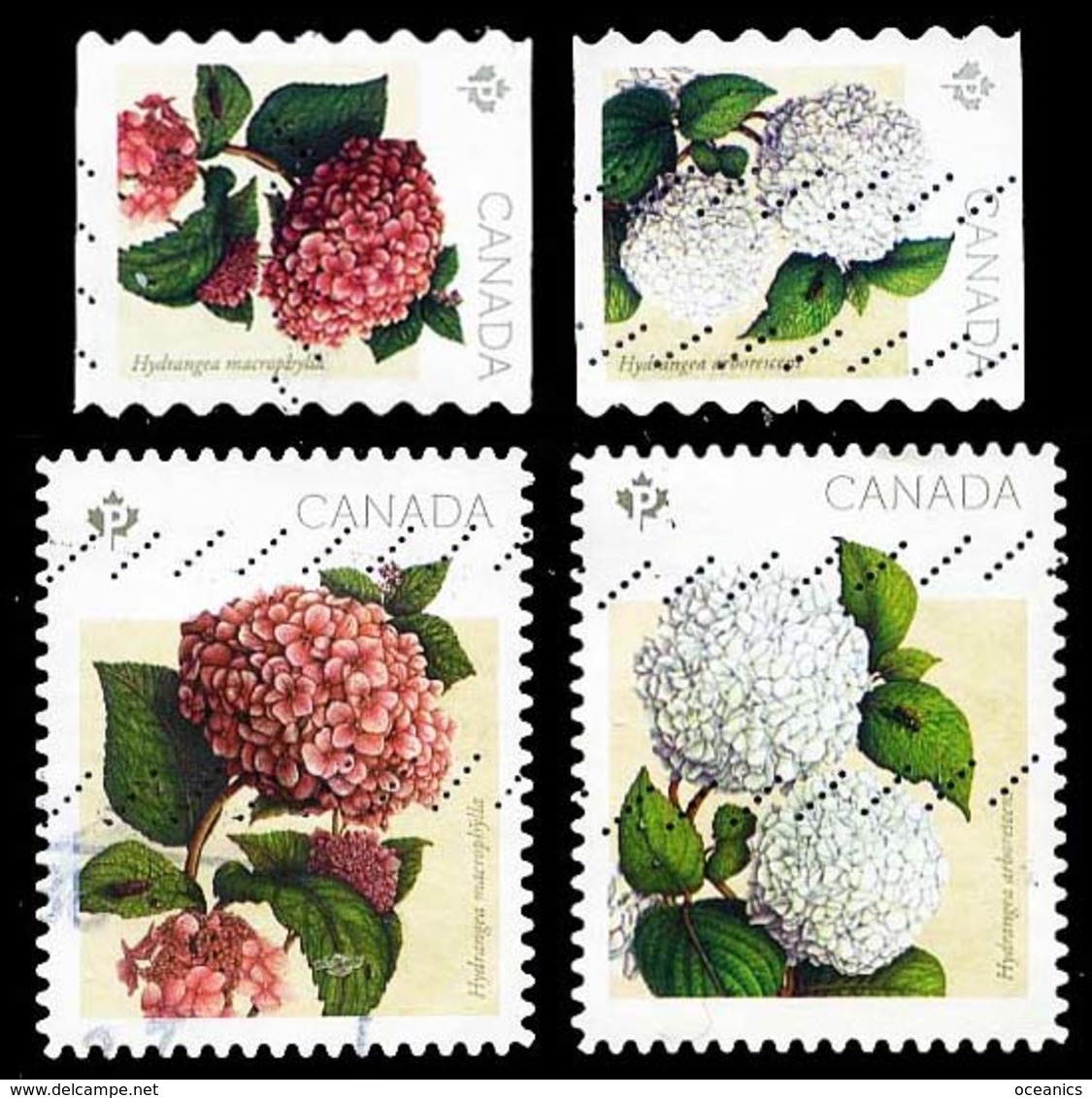 Canada (Scott No.2897-00 - Hydrangeas) (o) - Oblitérés