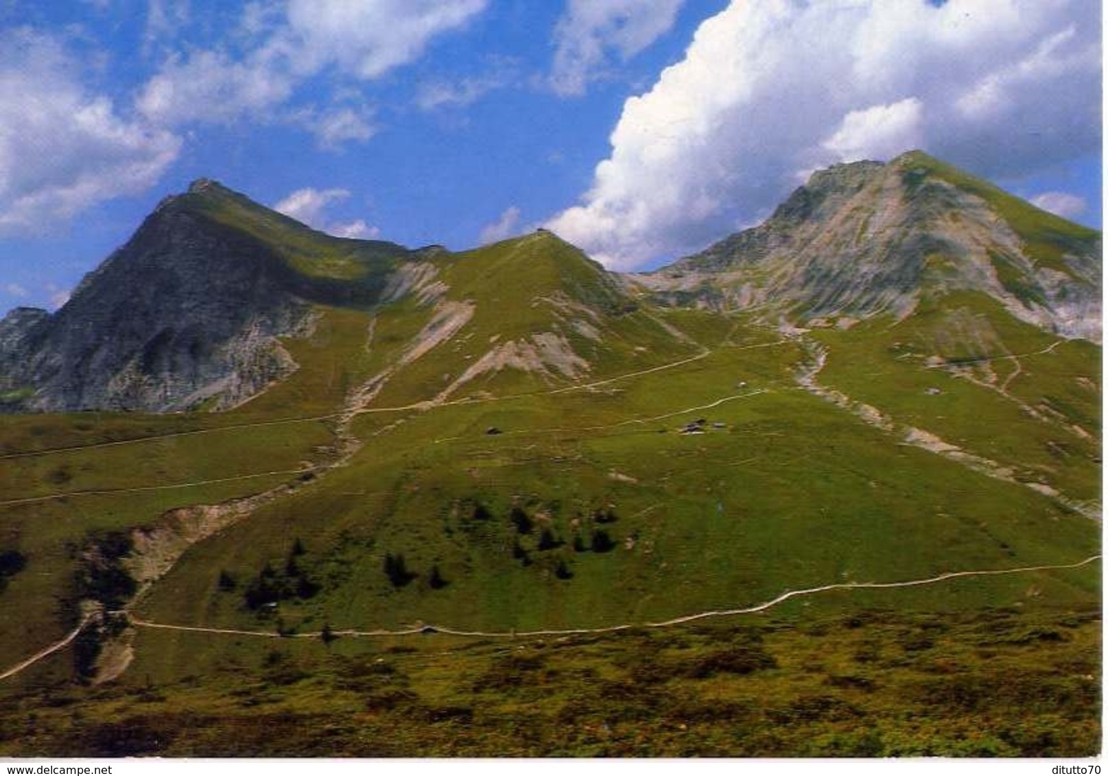 Avelengo - Merano - Ampia Zona Di Turismo Con La Cima Ivigna - Kuhleiten E Monte Alplat - Formato Grande Non Viaggiata – - Merano