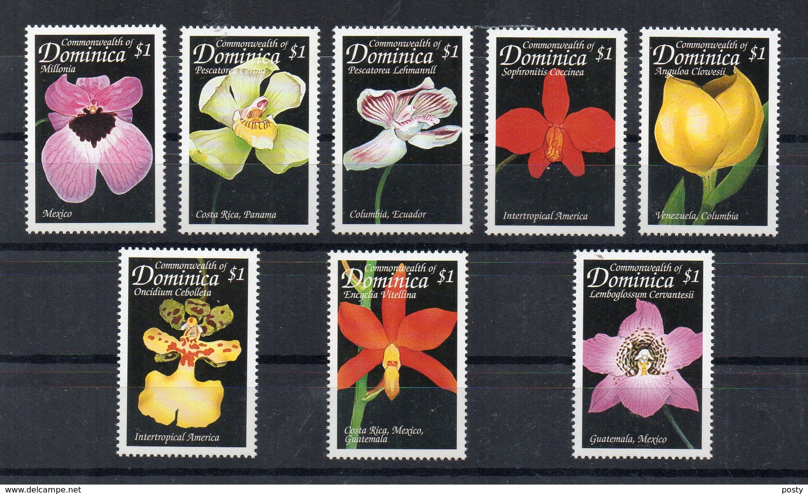 DOMINIQUE - DOMINICA - FLOWERS - FLEURS - 1999 - - Dominique (1978-...)