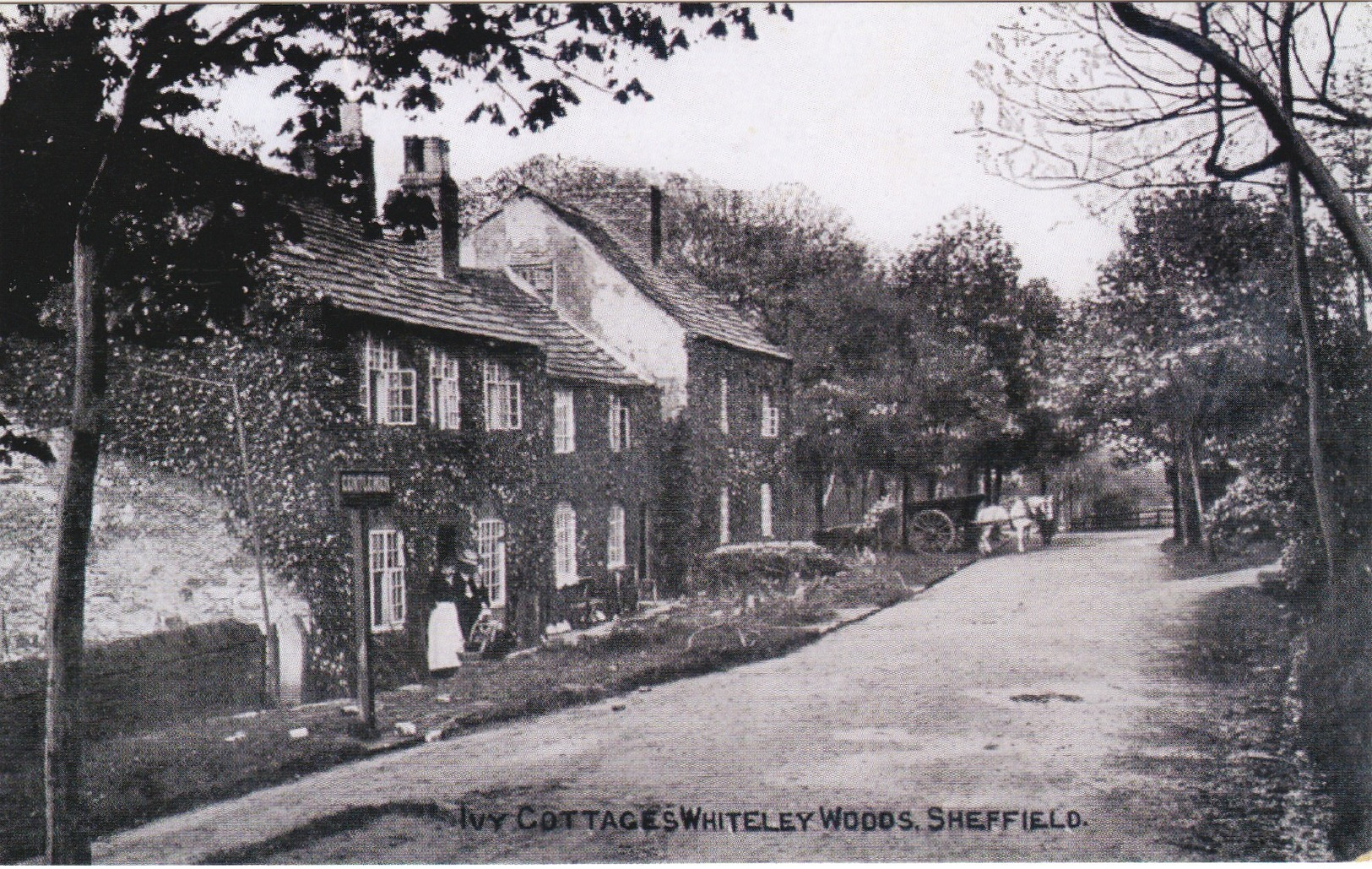 Yorkshire; Ivy Cottages. Whitley Woods. Sheffield.Colour Postcard - Sheffield