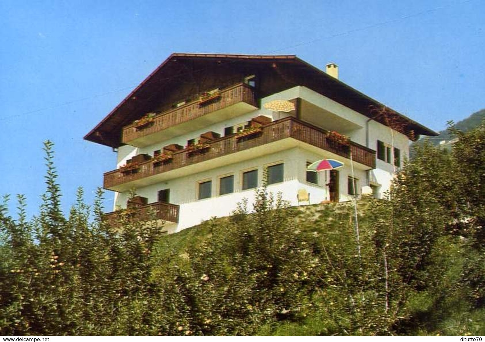 St. Georgen Schenna - Garini Locherhof - Formato Grande Non Viaggiata – E 10 - Merano