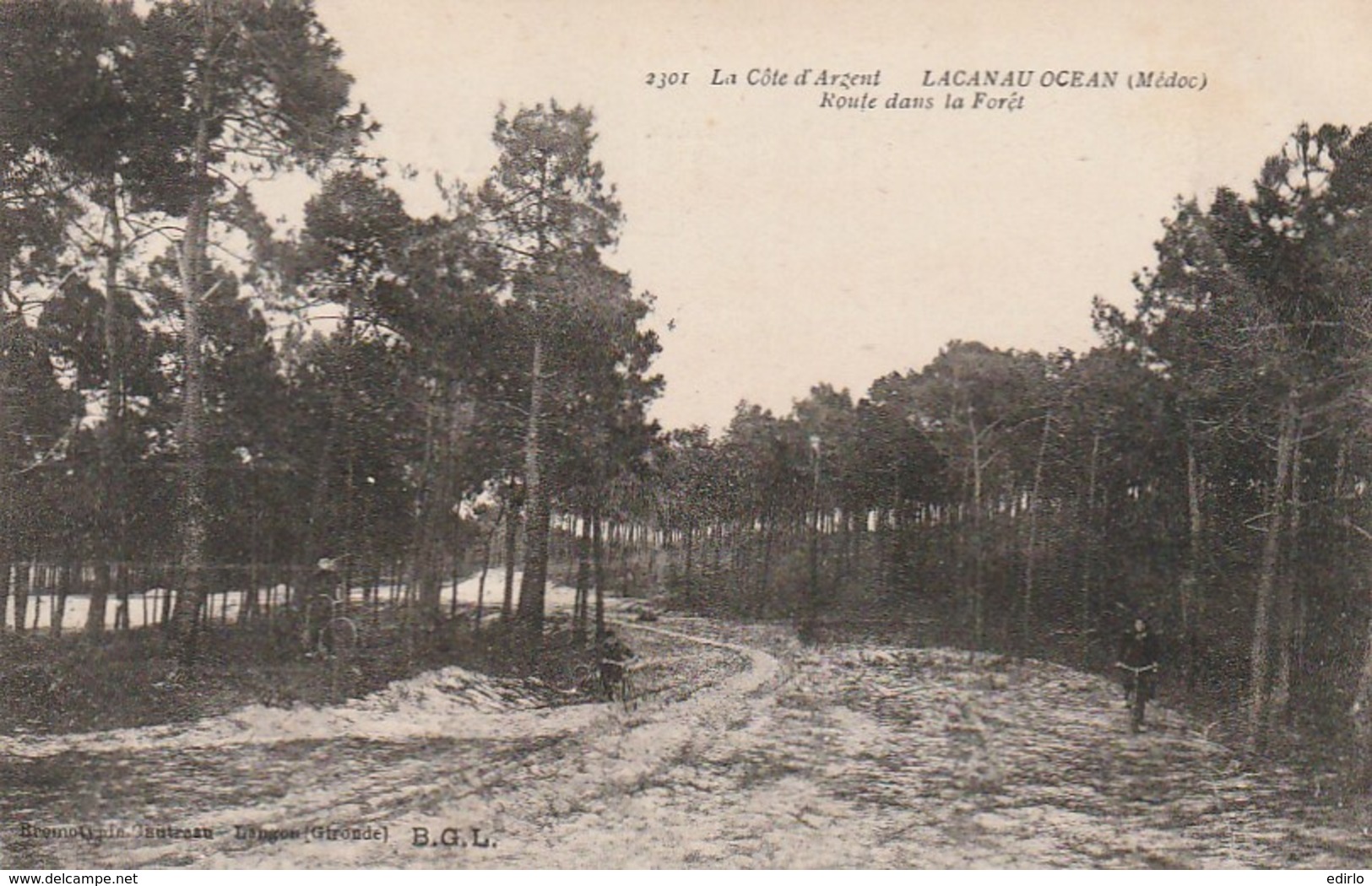 ***  33  ***   LACANAU OCEAN  Route Dans La Forêt - TTB écrite - Altri & Non Classificati