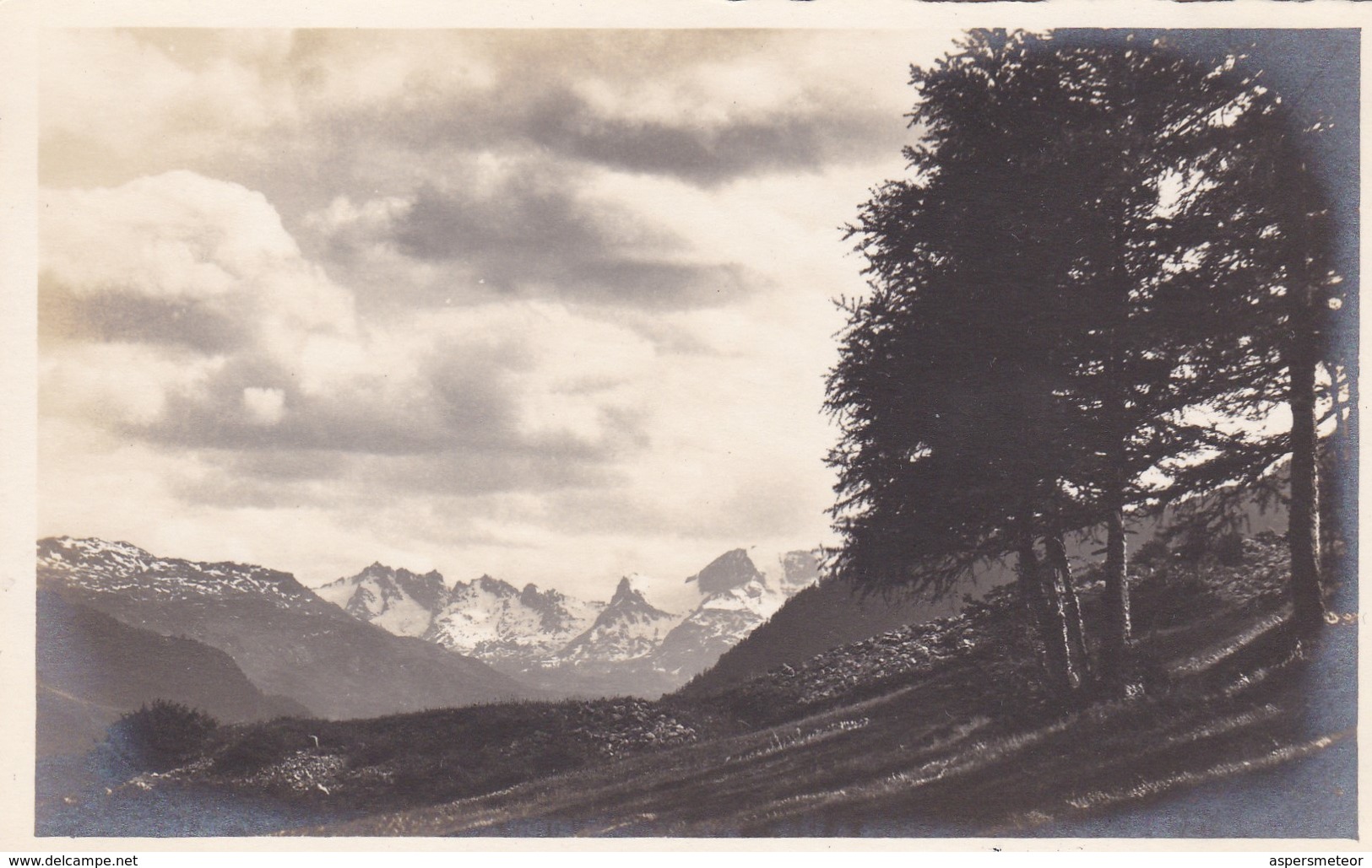 SANS DESCRIPTION.. ENGADIN PRESS CO. CIRCA 1910s SUISSE - BLEUP - Andere & Zonder Classificatie