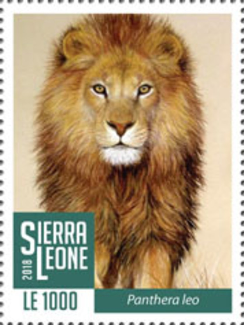 Z08 SRL1802local01a Sierra Leone 2018 Lions MNH ** Postfrisch - Sierra Leone (1961-...)