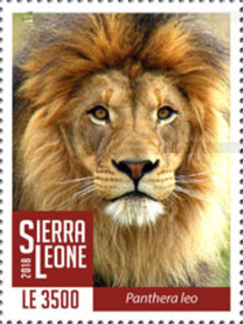 Z08 SRL1802local03a Sierra Leone 2018 Lions MNH ** Postfrisch - Sierra Leone (1961-...)