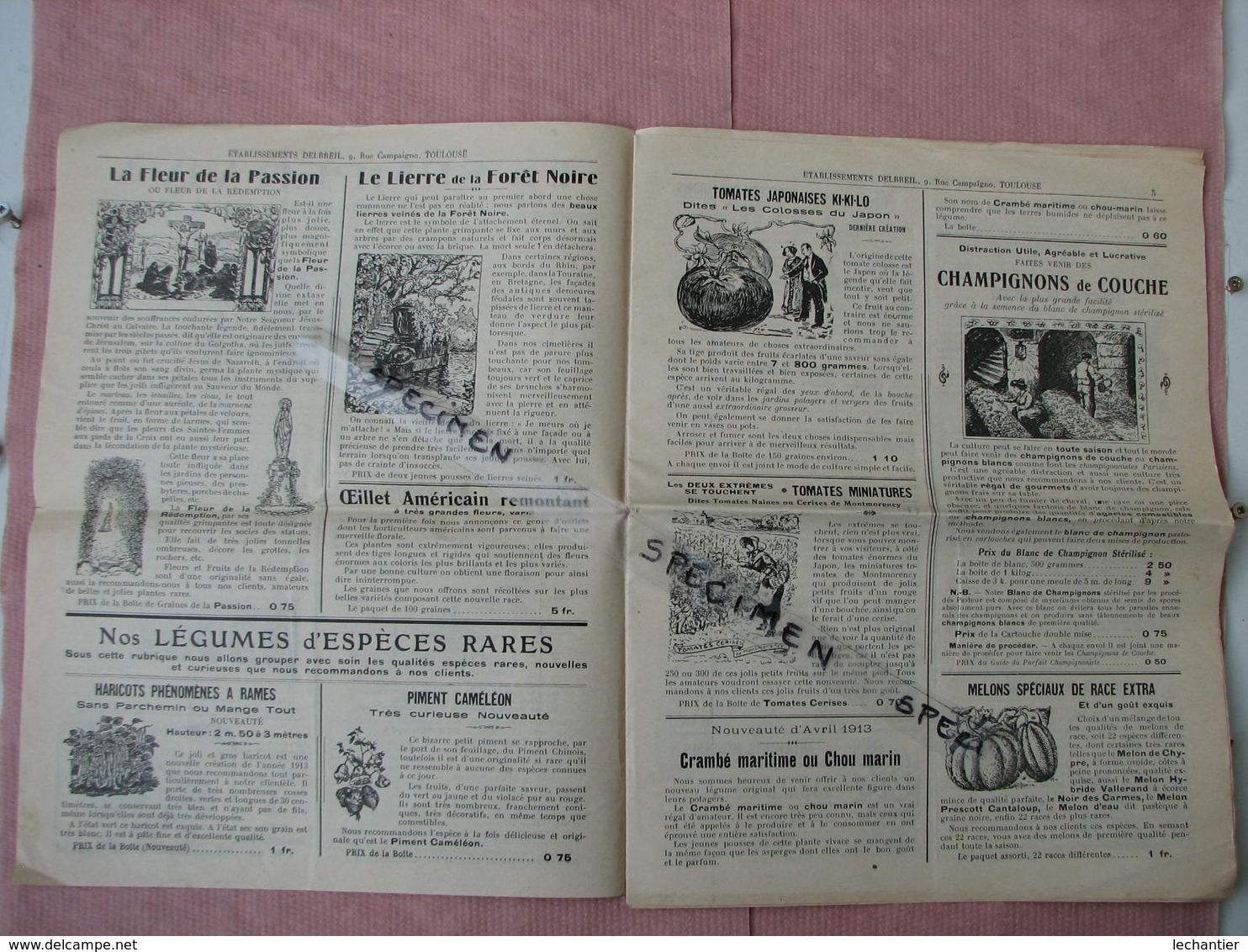 Toulouse Curieux Catalogue A.F. Delbreil Graines Et Plantes Nouvelles Et Autres Pages D'inventions Nouvelles 1913/14 - Autres & Non Classés