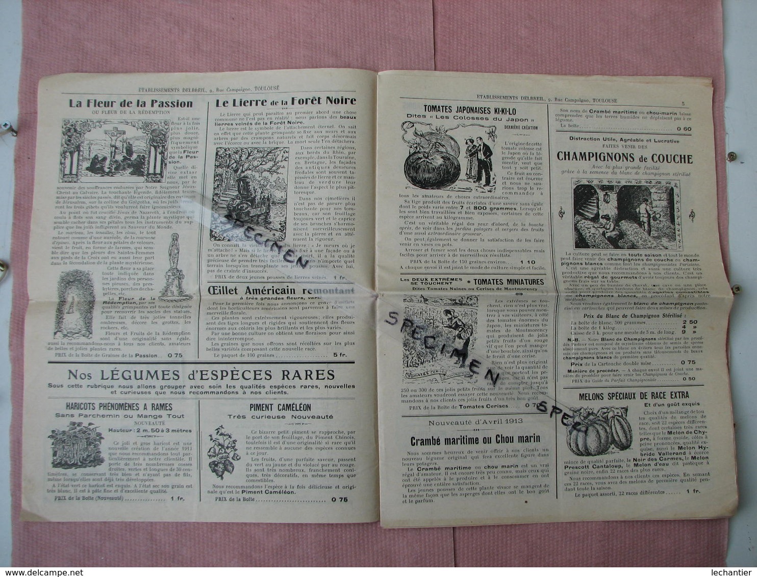 Toulouse Curieux Catalogue A.F. Delbreil Graines Et Plantes Nouvelles Et Autres Pages D'inventions Nouvelles 1913/14 - Autres & Non Classés