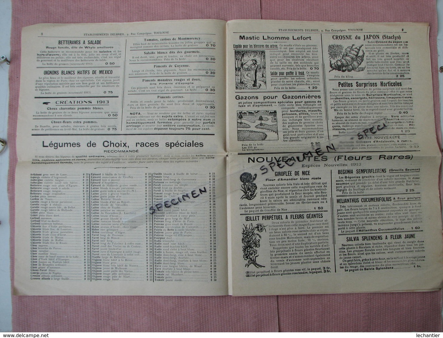 Toulouse Curieux Catalogue A.F. Delbreil Graines Et Plantes Nouvelles Et Autres Pages D'inventions Nouvelles 1913/14 - Autres & Non Classés