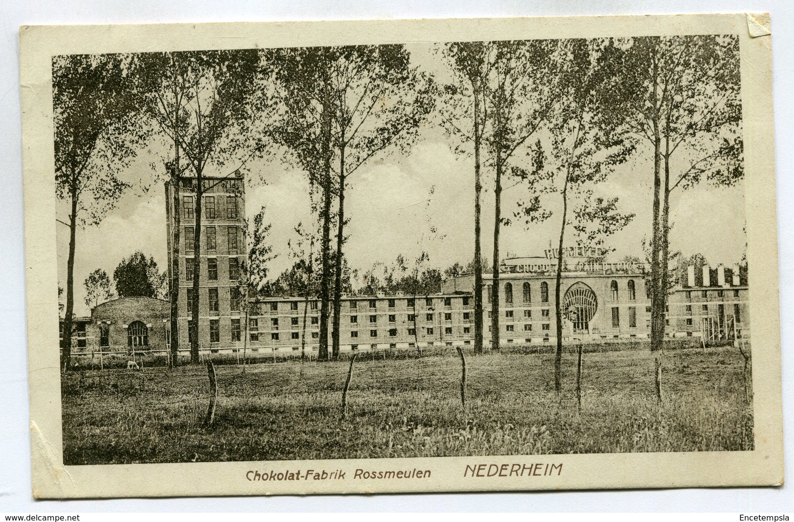 CPA - Carte Postale - Belgique - Nederheim - Chokolat Fabrik Rossmeulen - 1923  (SV6841) - Tongeren