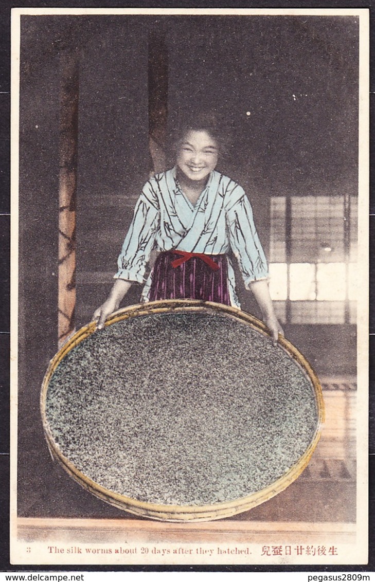 JAPAN, Unused Postcard. THE SILK WORMS ABOUT 20 DAYS AFTER THEY HATCHED. Condition, See The Scans. - Autres & Non Classés