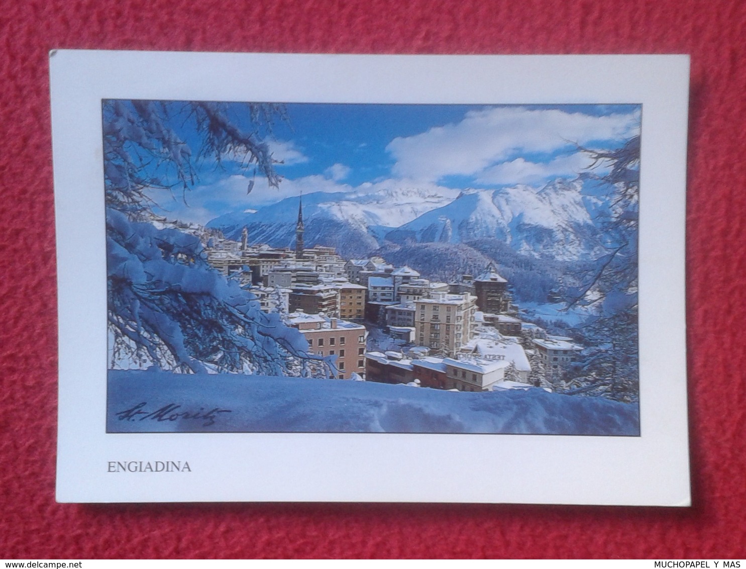 POSTAL POST CARD CARTE POSTALE SUIZA SUISSE SCHWEIZ SVIZZERA Switzerland ENGIADINA ENGADINA ENGADIN WITH STAMP CON SELLO - Otros & Sin Clasificación