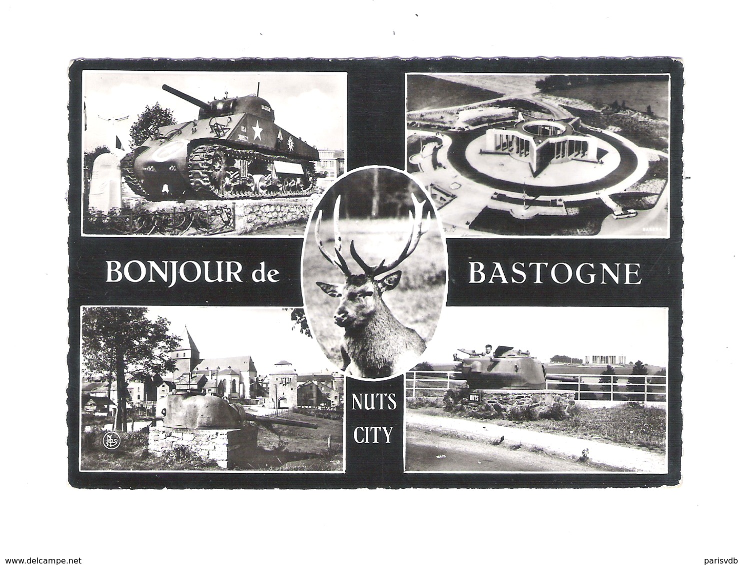 BASTOGNE - BONJOUR DE BASTOGNE - NUTS CITY - NELS   (8143) - Bastogne