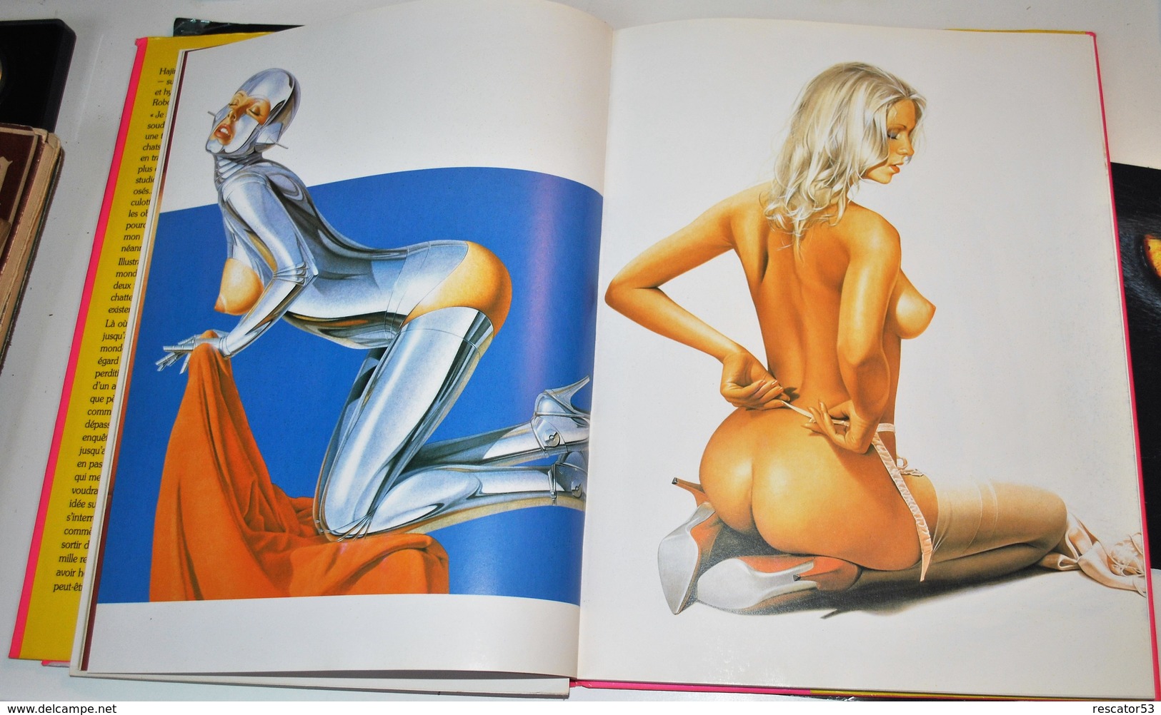 Rare Livre Hajime Sorayama Pin-Up Avec Un Poster 1985 - Pin-Ups