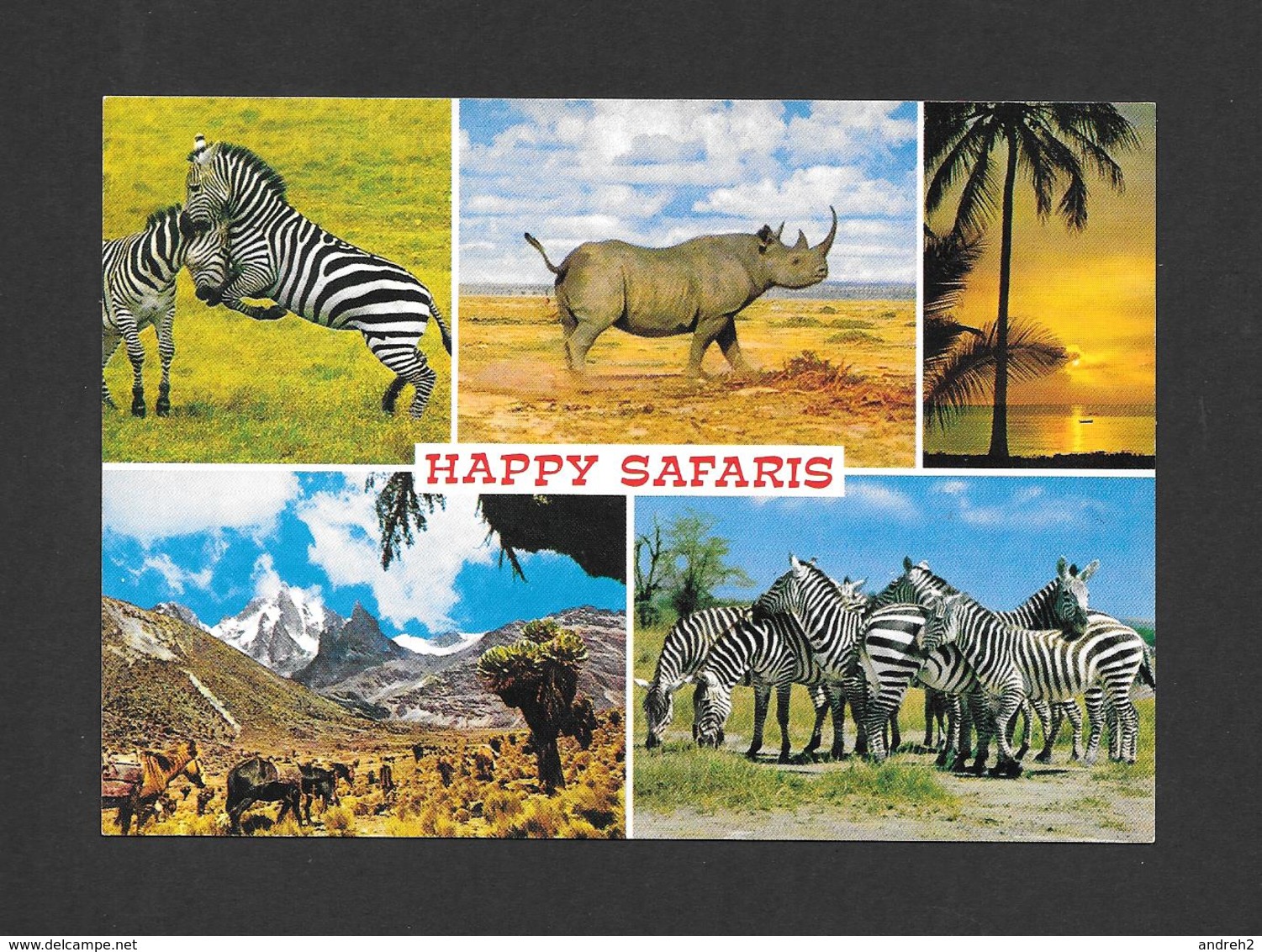 ANIMAUX - ANIMALS - HAPPY SAFARIS - ZÈBRES - ZEBRA - RHINOCÉROS - CHEVAUX - BY SAPRA STUDIO - Zèbres