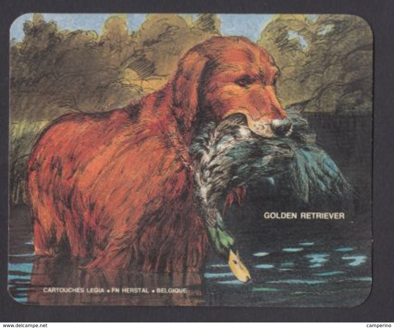 Chien Golden Retriever Chasse Hunting Cartouche Legia FN Hersyal Ancien Autocollant Sticker - Pegatinas