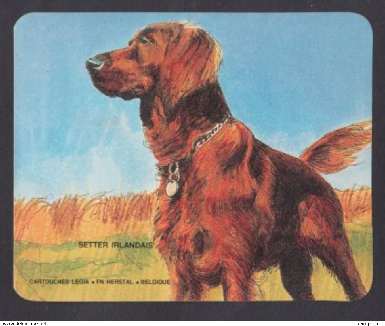 Chien Setter Irlandais Chasse Hunting Cartouche Legia FN Hersyal Ancien Autocollant Sticker - Autocollants