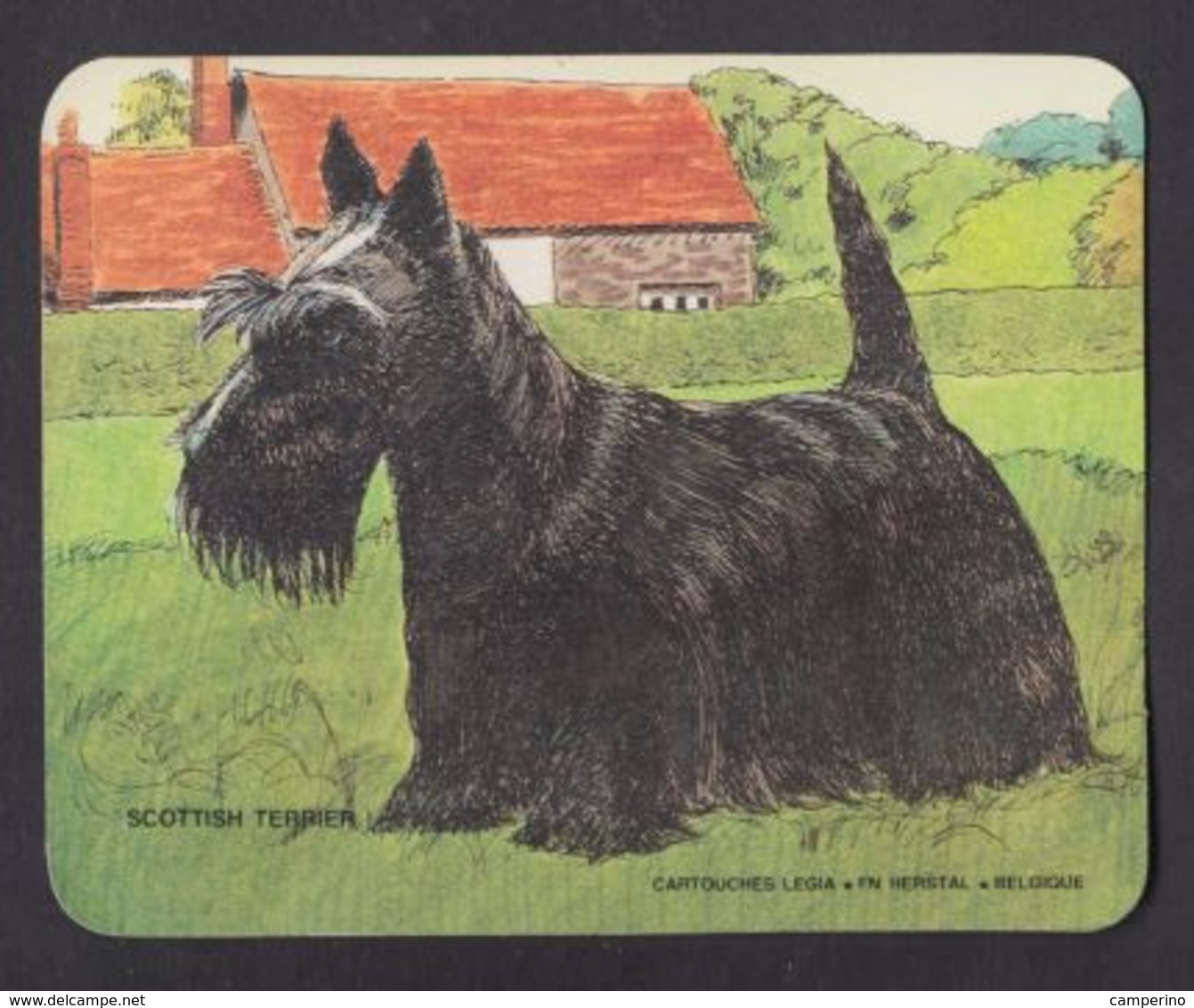 Chien Scottish Terrier Chasse Hunting Cartouche Legia FN Hersyal Ancien Autocollant Sticker - Autocollants