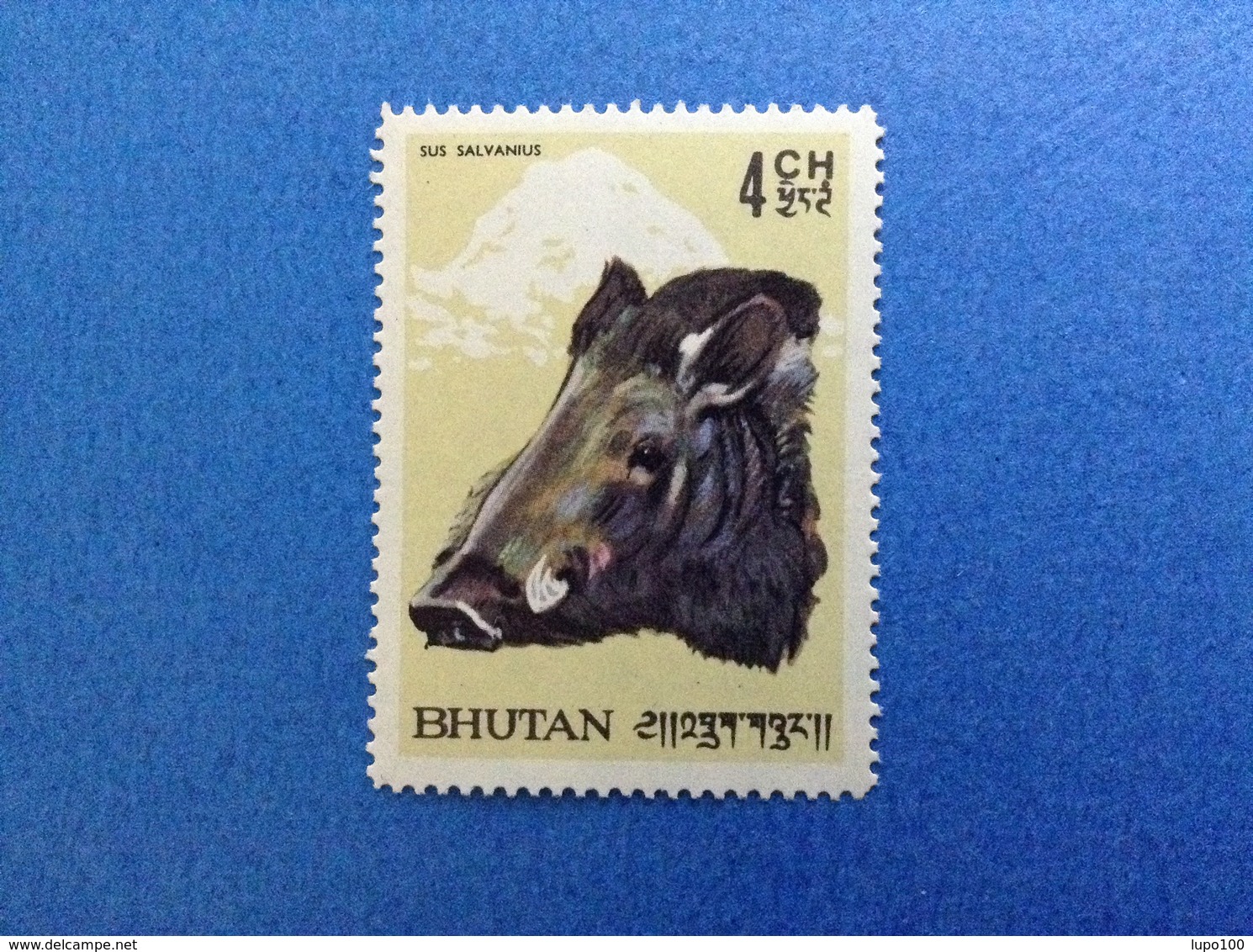 BHUTAN 4 CH FAUNA ANIMALI CINGHIALI SUS SALVANIUS FRANCOBOLLO NUOVO STAMP NEW MNH** - Bhutan