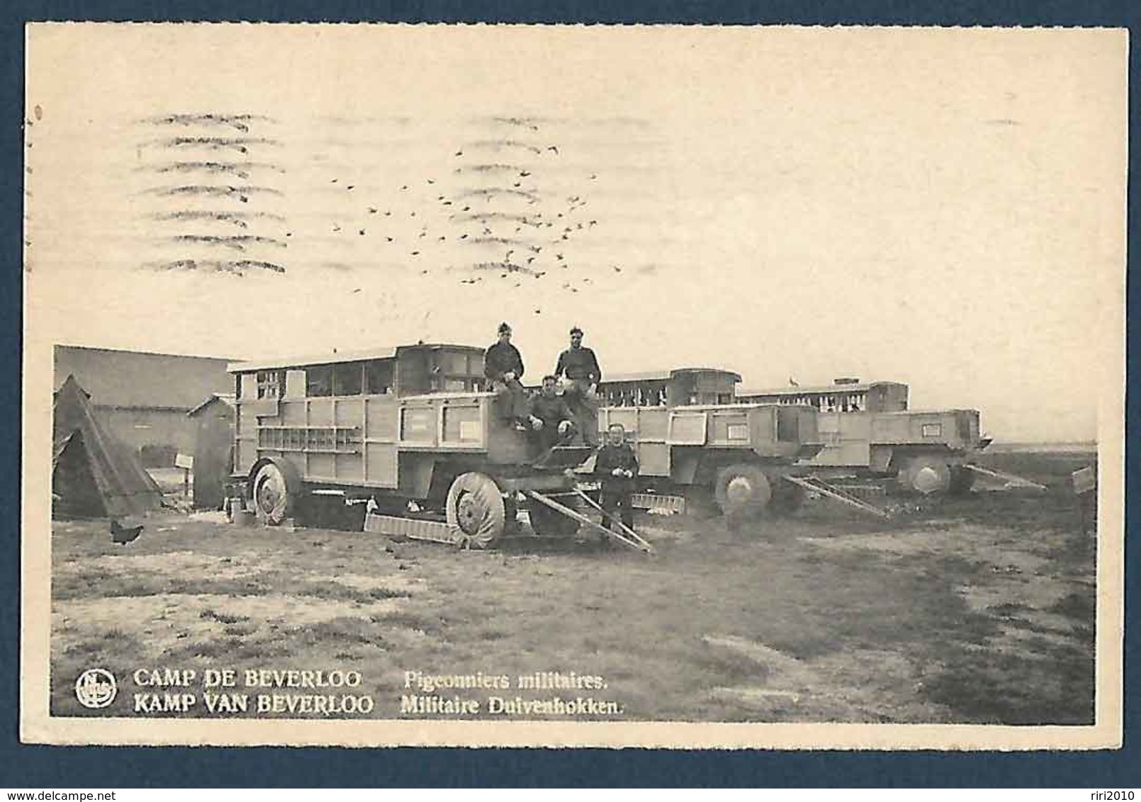 Armée Belge - Camp De Beverloo - Pigeonniers Militaires - Matériel