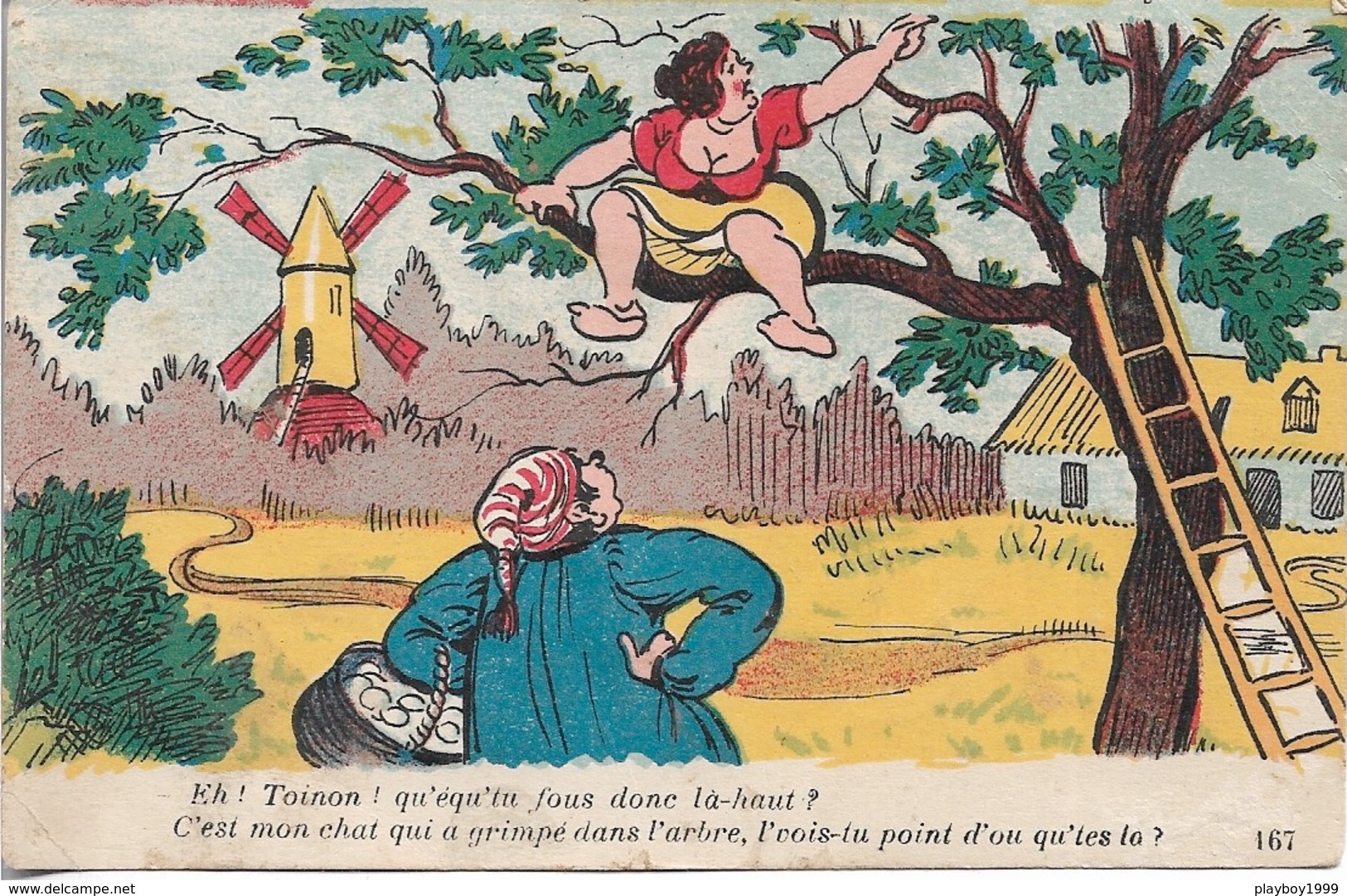 HUMOUR - Eh ! Toinon ! Qu'équ'tu Fous Donc Là-haut ? C'est Mon Chat Qui A Grimpé Dans L'arbre - CP - ÉCRITE - - Humour