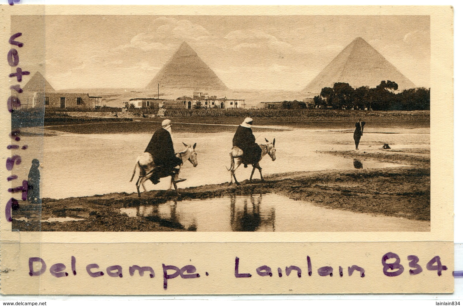 - EGYPTE - Ismailia - 3 Jolies Cartes Au Bord Du Nil, Gisa, Bourricots, Pyramides, Dromadaire, Non écrite, TTBE, Scans. - Ismaïlia