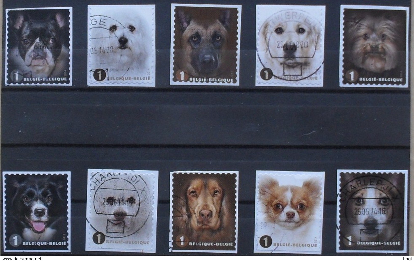 België 2014 Honden  Chiens - Used Stamps