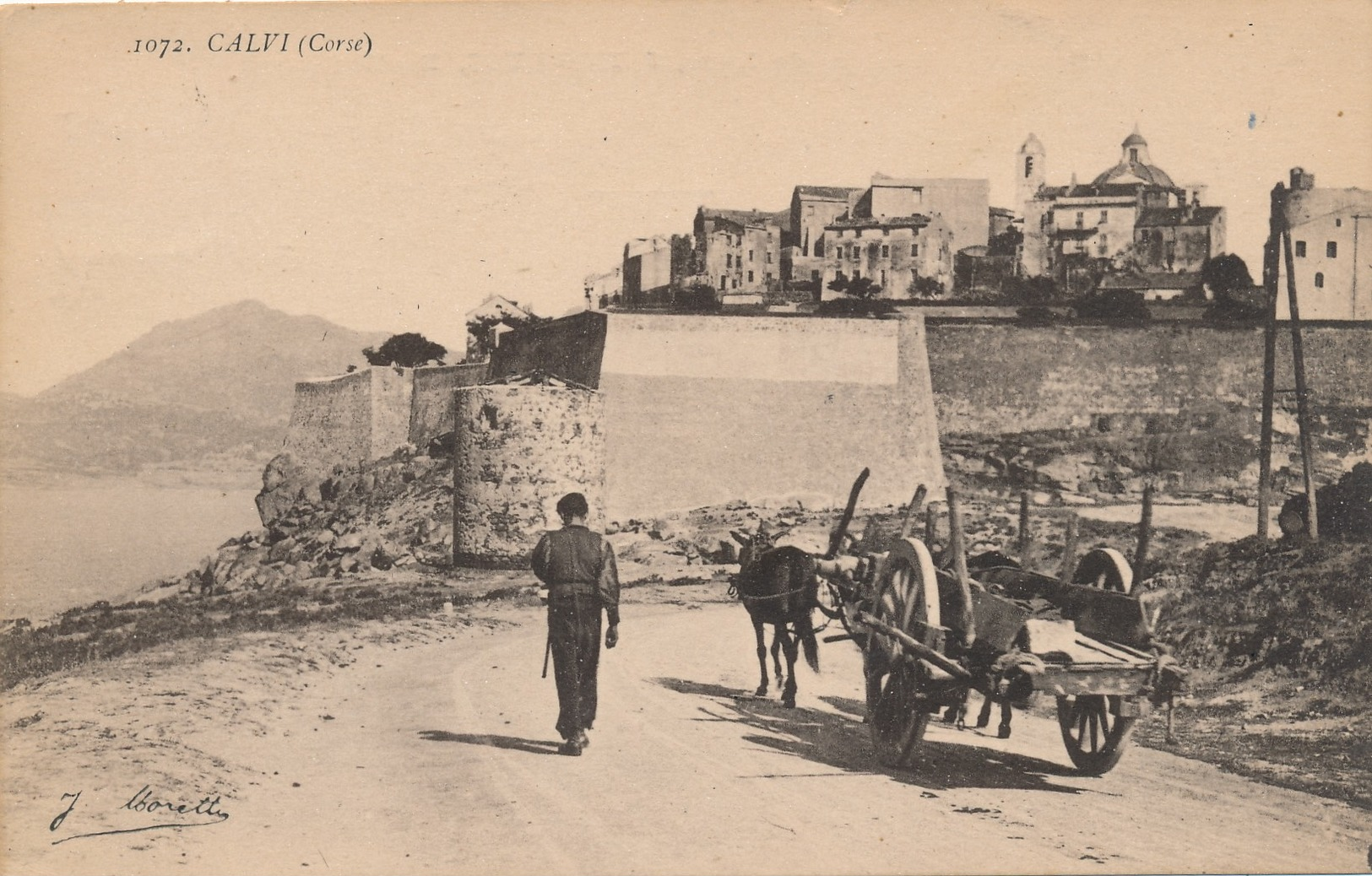 I19 - 20 - CALVI  - Corse - La Citadelle - Calvi