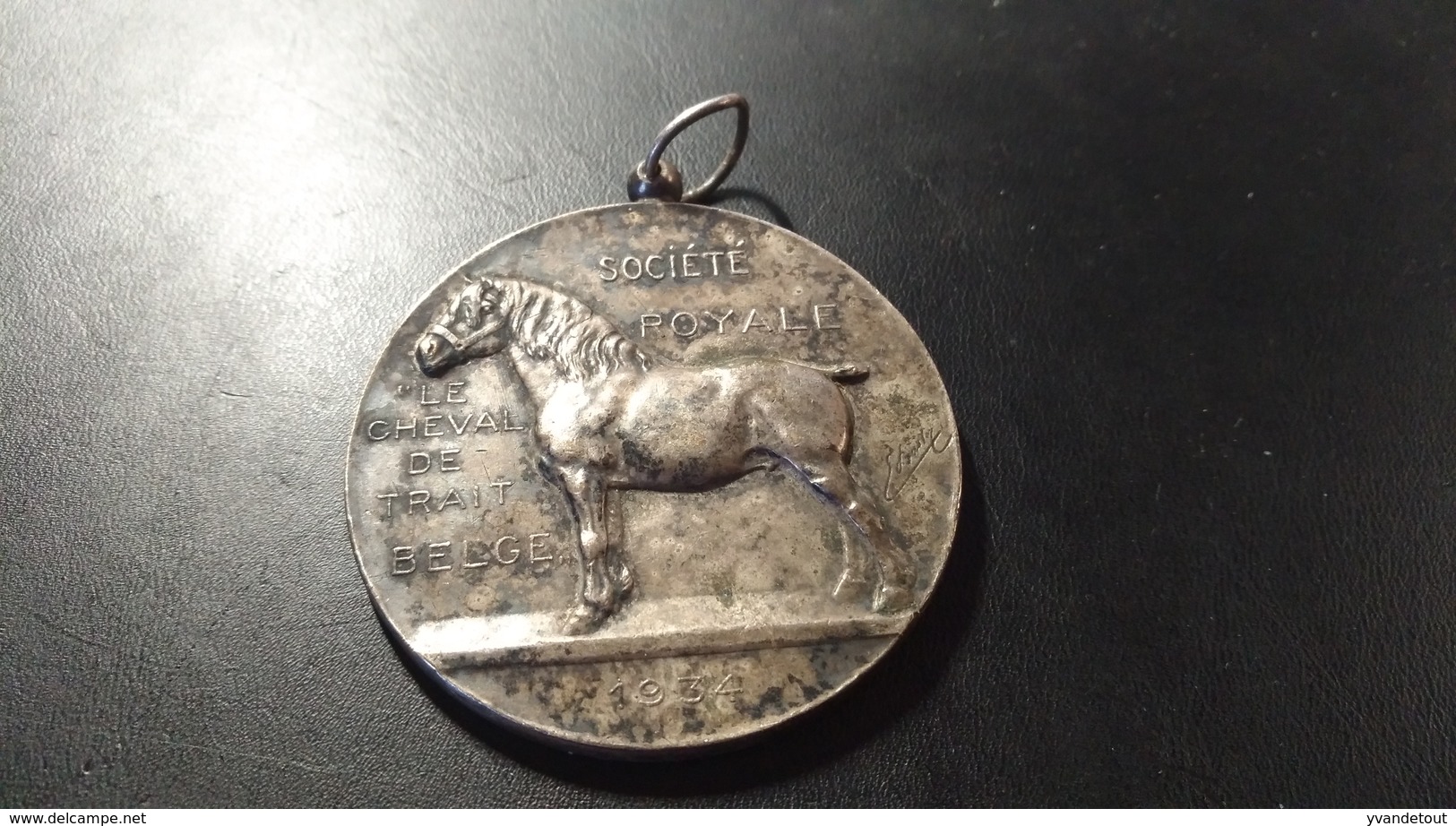 Médaille Argentée. Société Royale. Le Cheval De Trait Belge. 1934. Albert Protecteur De La Société - Belgique