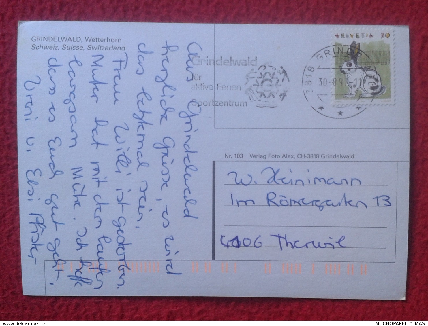 POSTAL POST CARD CARTE POSTALE SUIZA SUISSE SCHWEIZ SVIZZERA Switzerland GRINDELWALD WETTERHORN BERNA BERNE RABBIT LAPIN - Berna