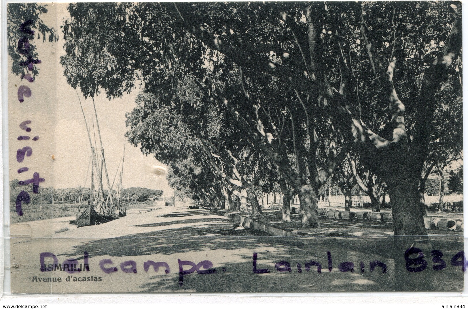 - EGYPTE - Ismailia - Avenue D'Acacias - Bateau Du Nil, Non écrite, TBE, Scans. - Ismailia