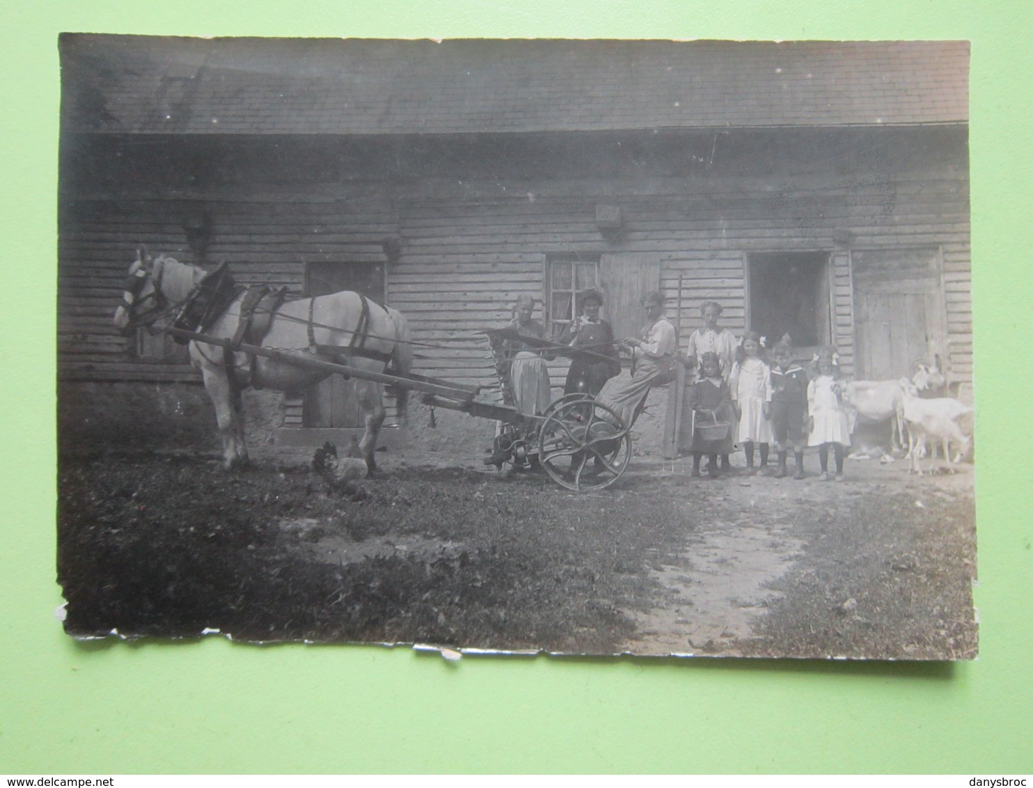 A Identifier - Cheval Attelé (semoir ?) Personnages, Chèvres - CPA Carte Photo - Nom Au Dos De La Carte - Fermes