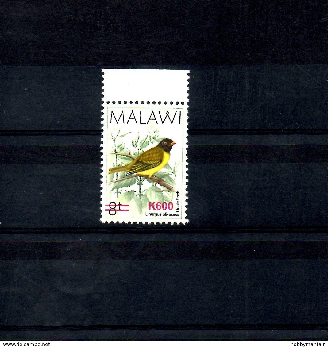 MALAWI, 2018, BIRD, O/P, NEW VALUE, "600"-II 1v. MNH** NEW! - Other & Unclassified