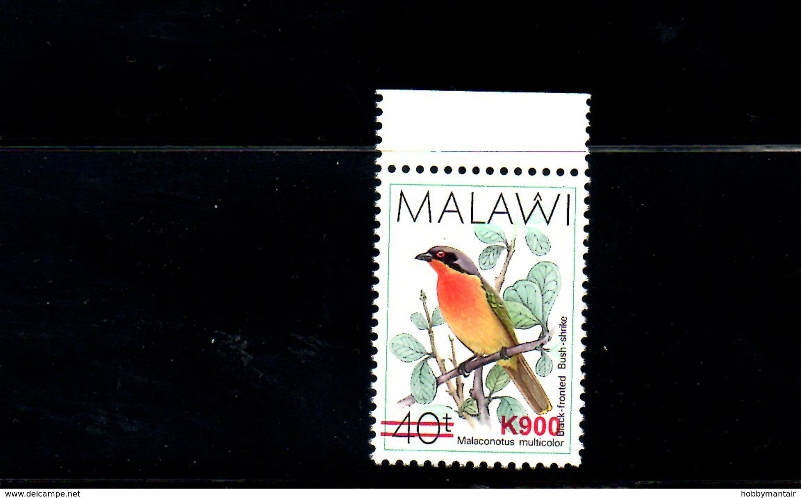 MALAWI, 2018, BIRD, O/P, NEW VALUE, "k900" 1v. MNH** NEW! - Autres & Non Classés