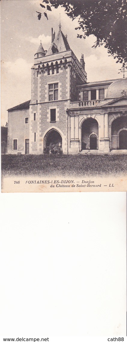 FONTAINE LES DIJON -  Donjon Du Château De Saint Bernard - Autres & Non Classés