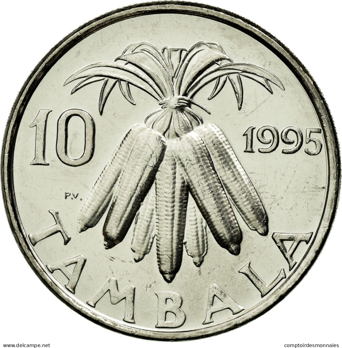 Monnaie, Malawi, 10 Tambala, 1995, TTB+, Nickel Plated Steel, KM:27 - Malawi