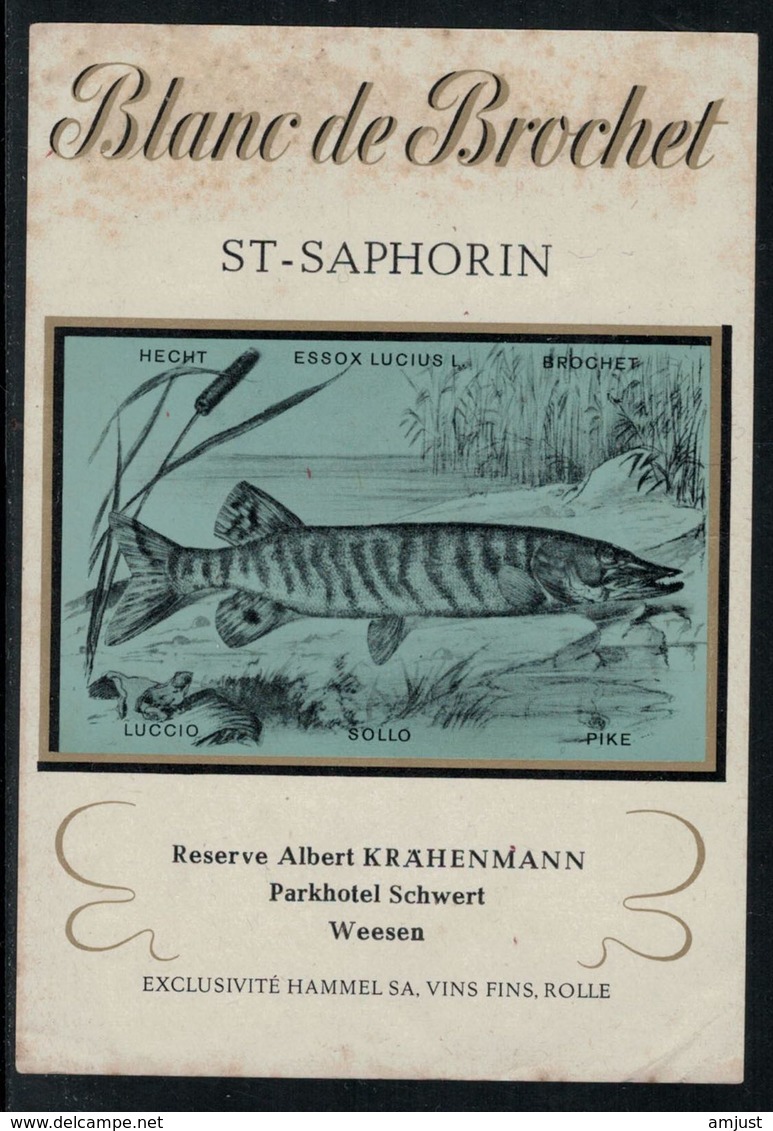 Rare // Etiquette De Vin // Poissons // St.Saphorin, Blanc De Brochet - Poissons