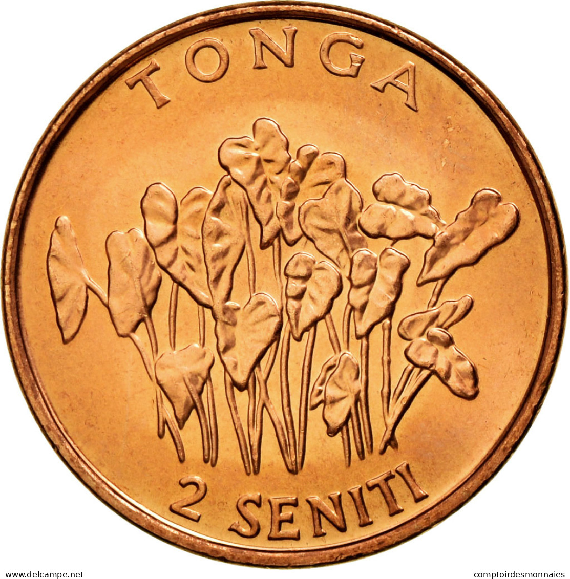 Monnaie, Tonga, King Taufa'ahau Tupou IV, 2 Seniti, 2002, SPL, Copper Plated - Tonga