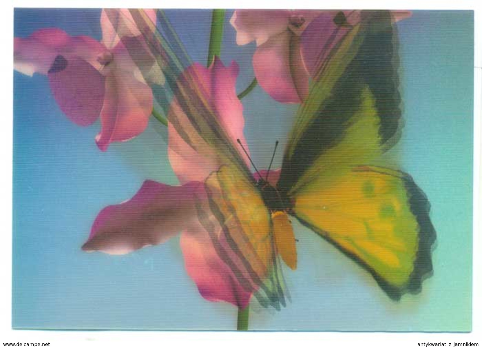 Trójwymiarowa Lenticulaire 3D - Kwiaty I Motyle - Fiori