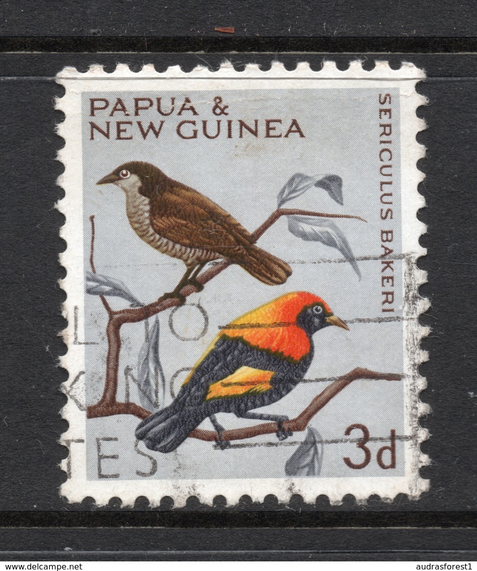 1965 PAPUA & NEW GUINEA Fire-maned Bowerbird ( Sericulus Bakeri ) 3d Bird Stamp VERY FINE USED SG No. 62 - Papouasie-Nouvelle-Guinée