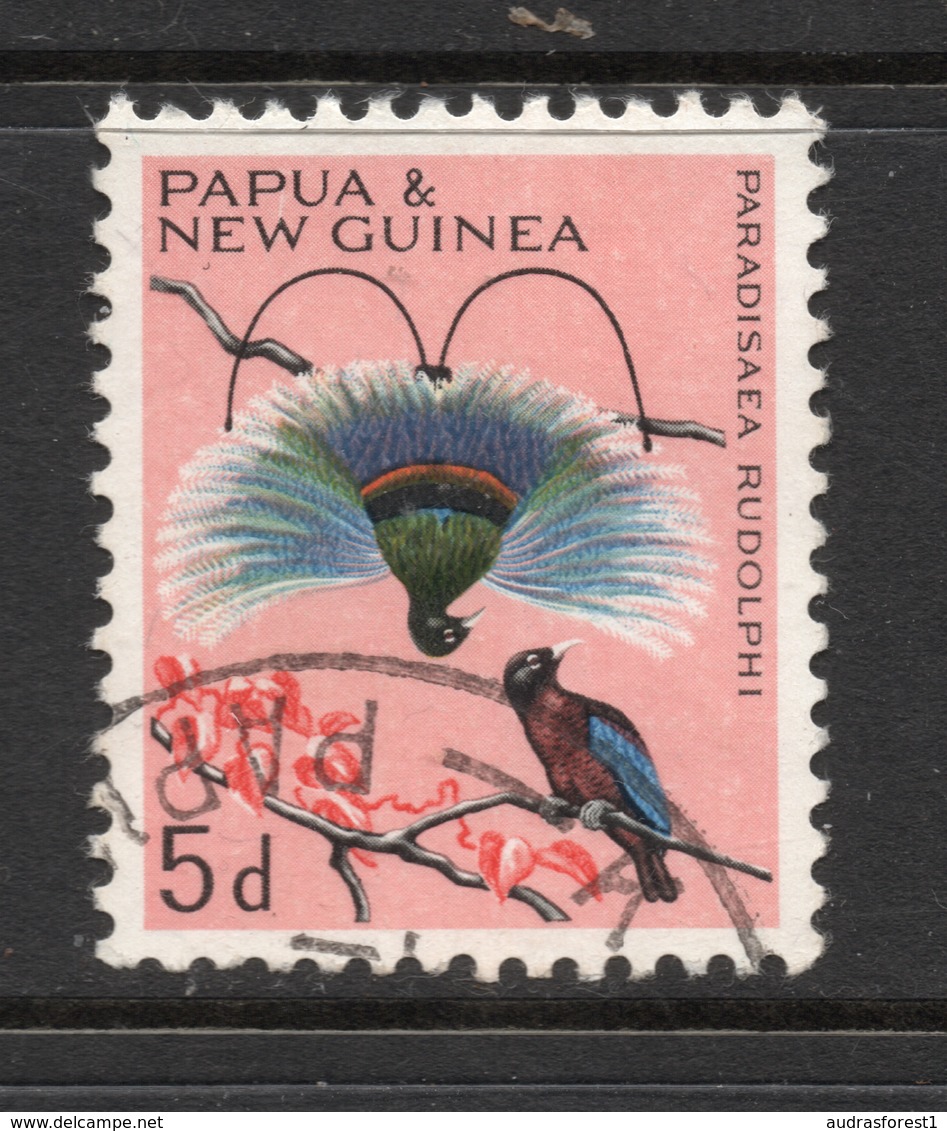 1965 PAPUA & NEW GUINEA Blue Bird-of-paradise (Paradisaea Rudolphi) 5d Bird Stamp VERY FINE USED SG No. 63 - Papouasie-Nouvelle-Guinée