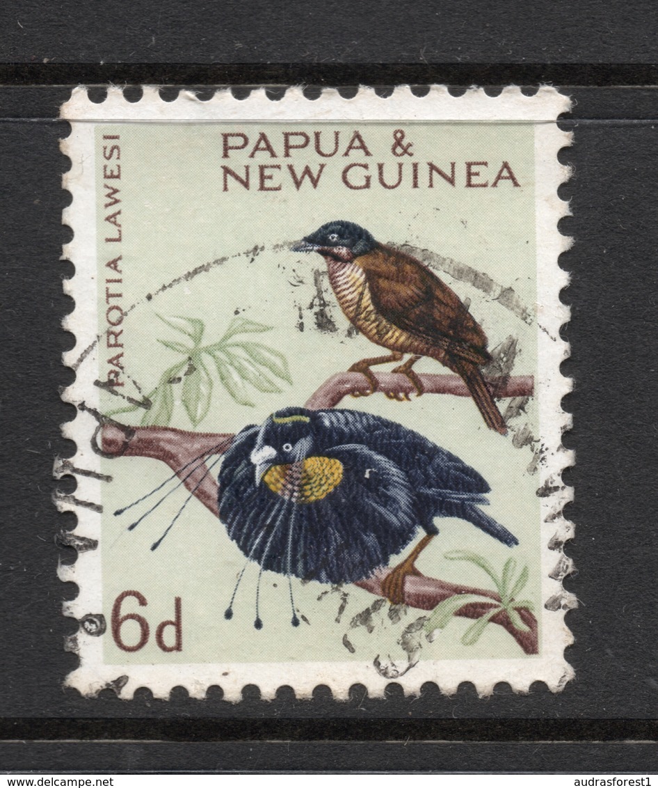 1964 PAPUA & NEW GUINEA Lawes's Parotia (Parotia Lawesi) 6d Bird Parrot Stamp VERY FINE USED SG No. 64 - Papua Nuova Guinea