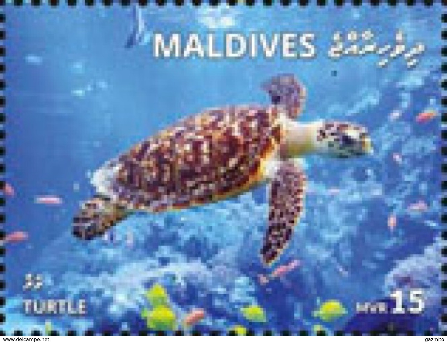 Maldives 2018, Animals, Turtle, 1val - Maldives (1965-...)