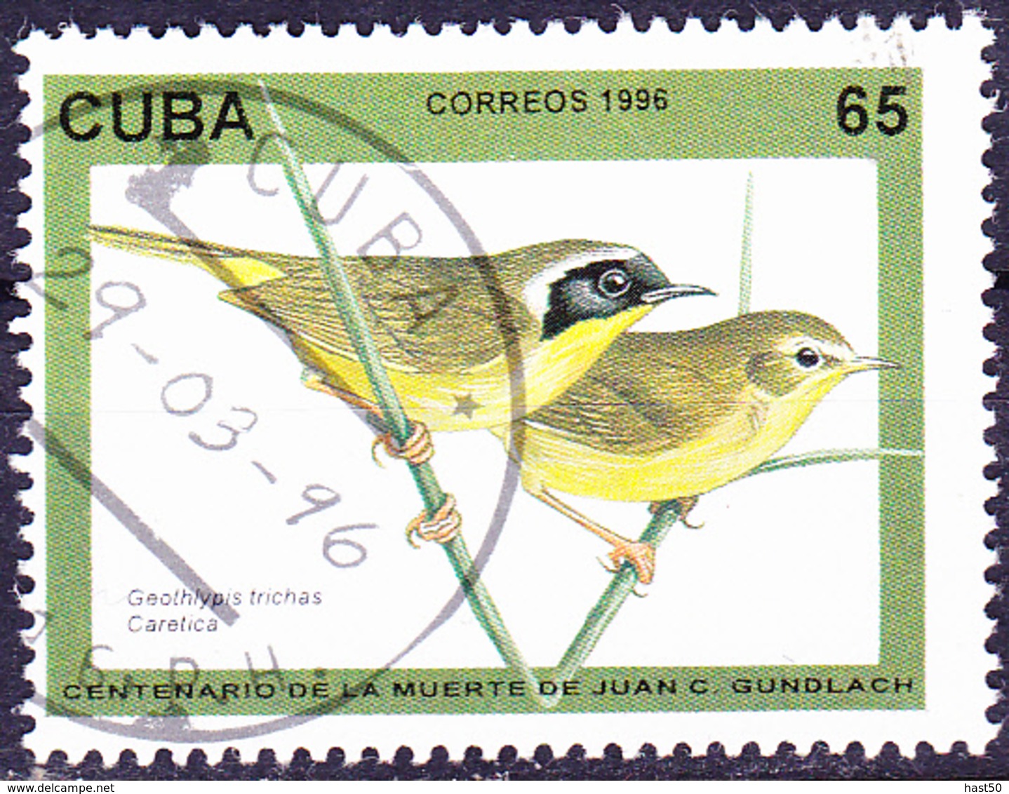 Kuba Cuba - Weidengelbkehlchen (Geothlypis Trichas) (Mi.Nr.: 3912) 1996 - Gest Used Obl - Used Stamps