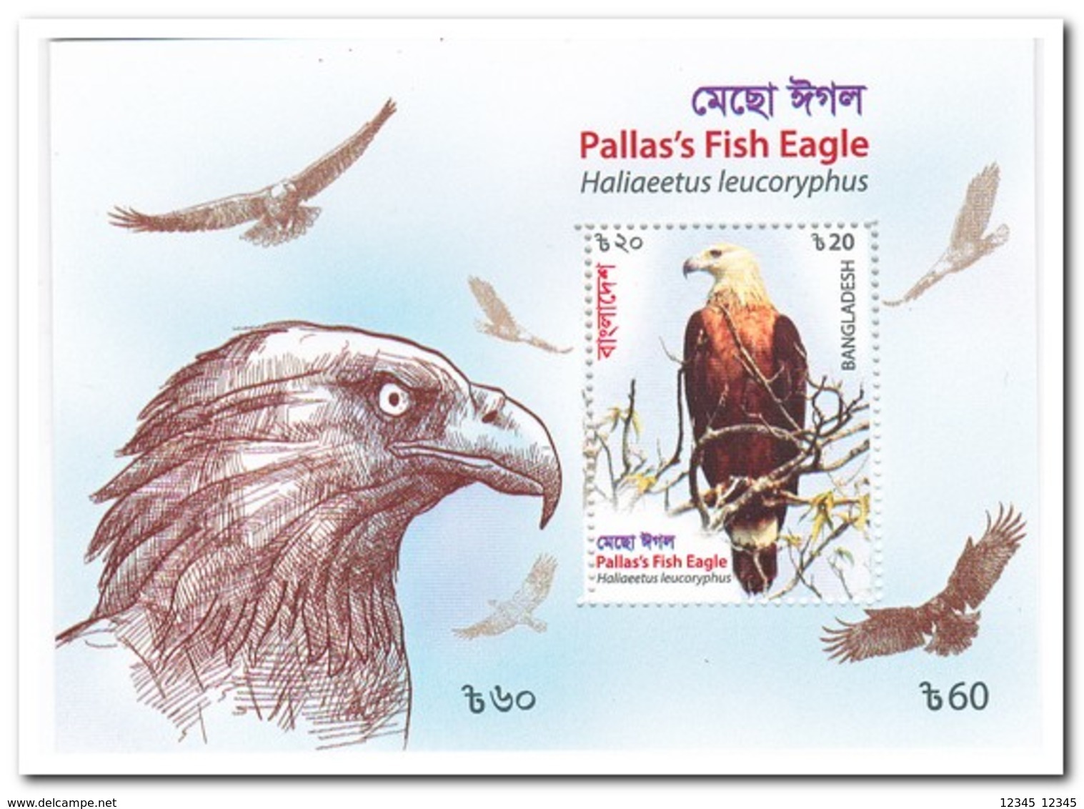 Bangladesh 2018, Postfris MNH, Birds - Bangladesh